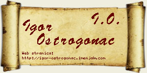 Igor Ostrogonac vizit kartica